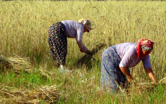 Ali Çandır Çiftçiler Gününü Kutladı